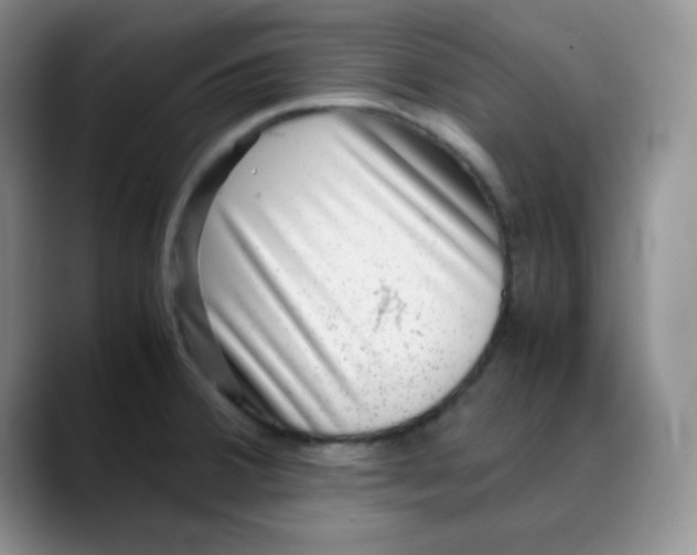 X0000088441380200706121501