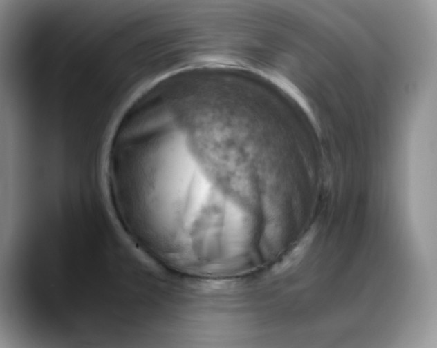 X0000088441381200706121501