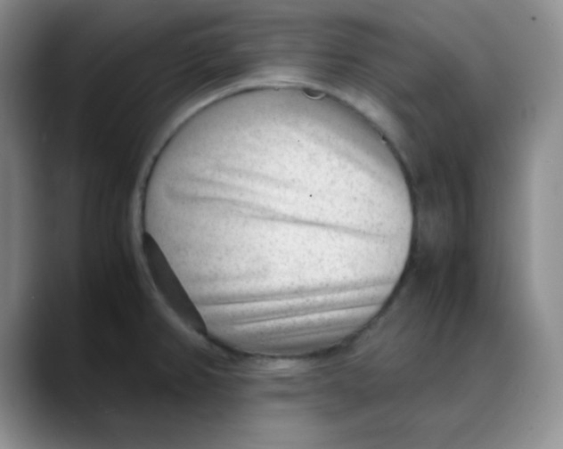 X0000088441382200706121501