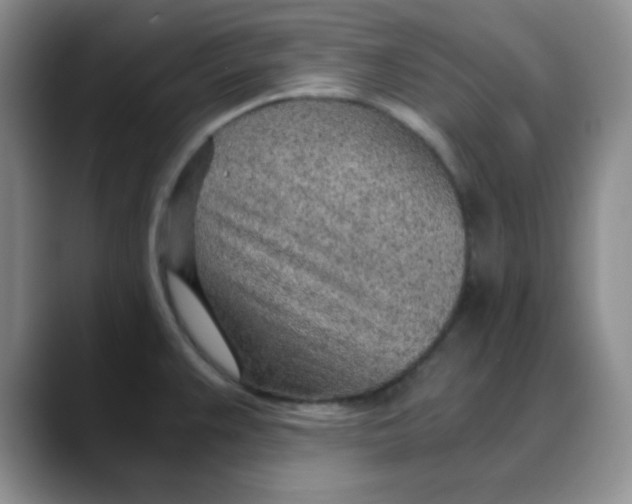 X0000088441383200706121501