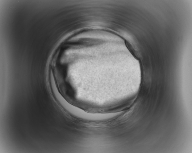 X0000088441384200706121501