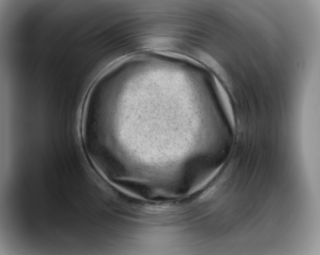 X0000088441386200706121501