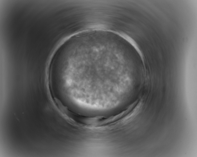 X0000088441389200706121501