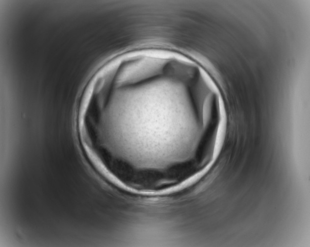 X0000088441390200706121501