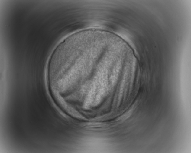 X0000088441391200706121501