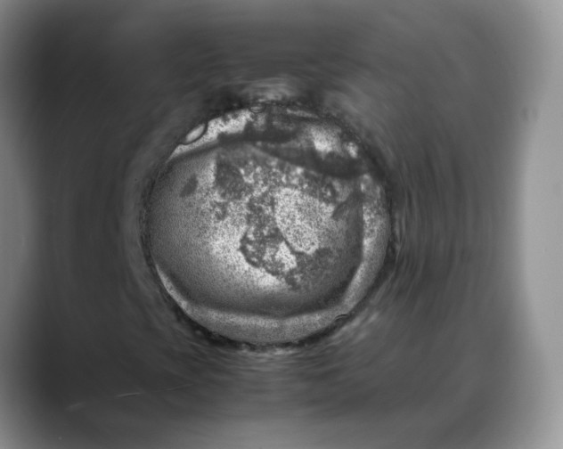 X0000088441393200706121500