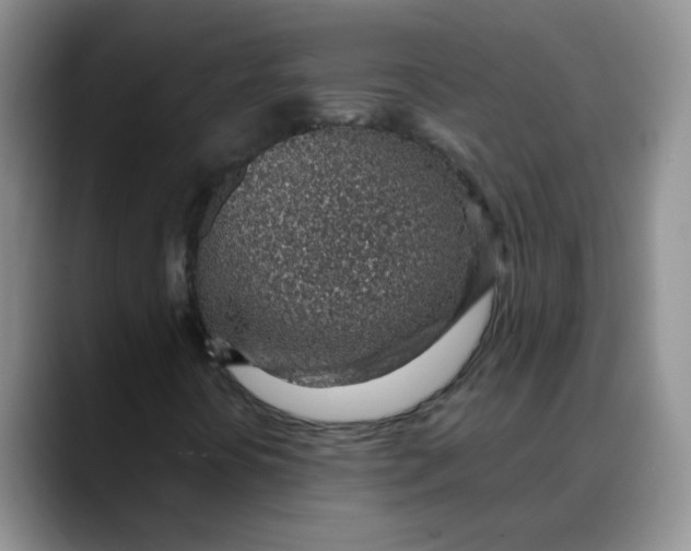 X0000088441394200706121500