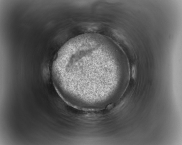 X0000088441395200706121500