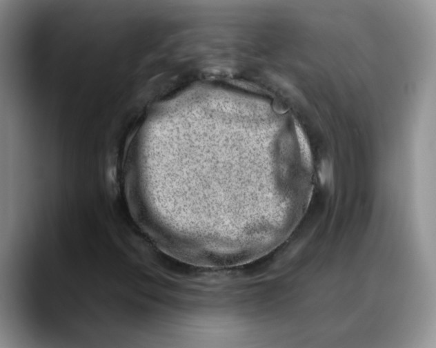 X0000088441396200706121500