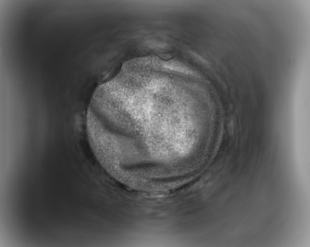 X0000088441397200706121500