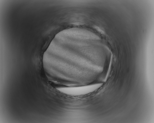 X0000088441398200706121500