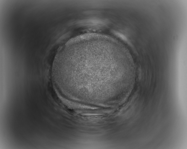 X0000088441399200706121500
