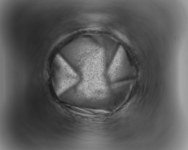 X0000088441400200706121500