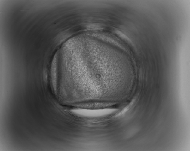 X0000088441401200706121500