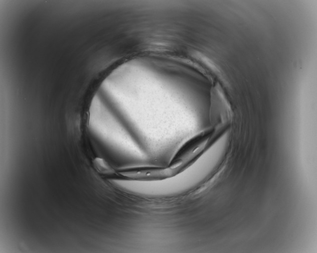 X0000088441402200706121500