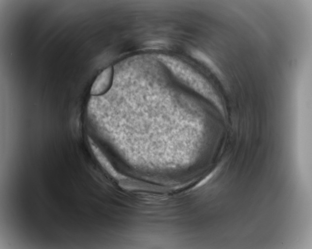 X0000088441403200706121500