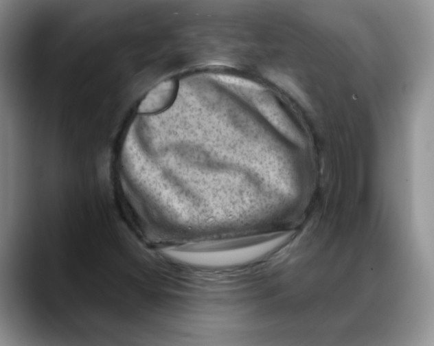 X0000088441404200706121500