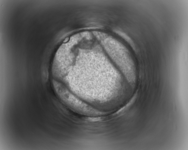X0000088441407200706121500