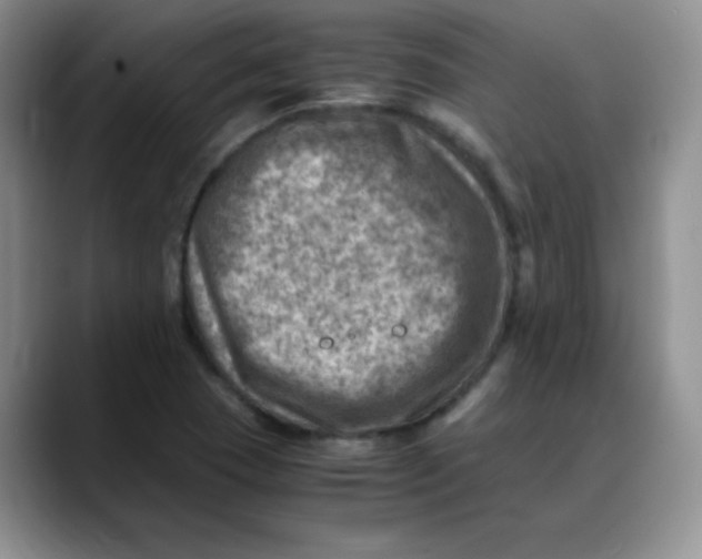 X0000088441409200706121500