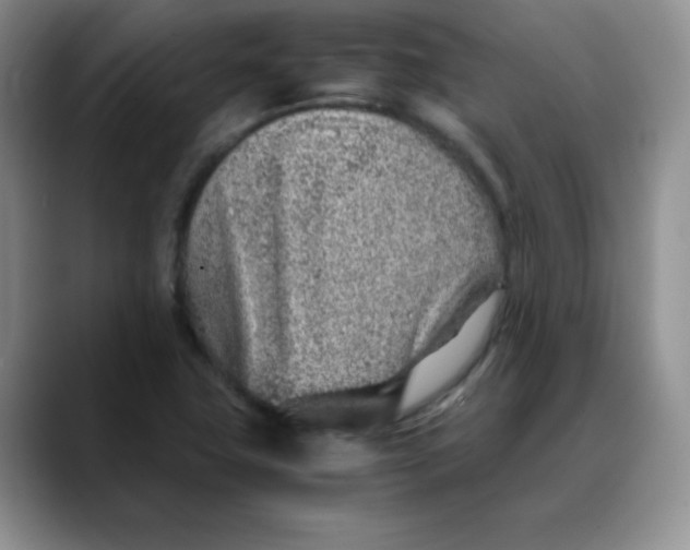 X0000088441411200706121500