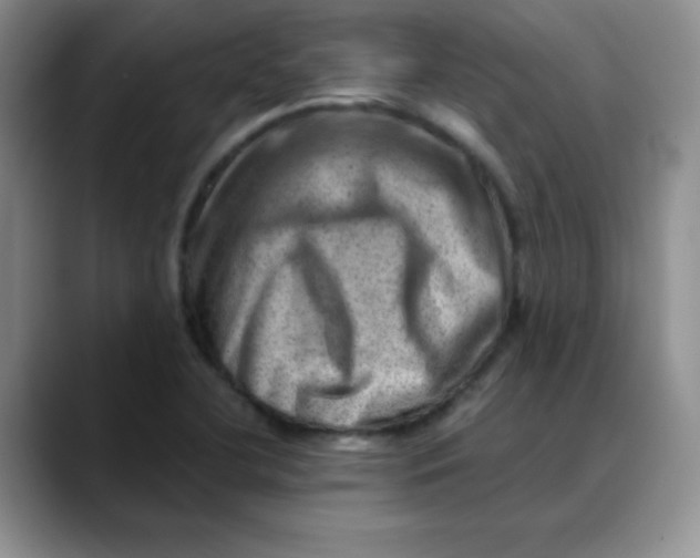 X0000088441412200706121500