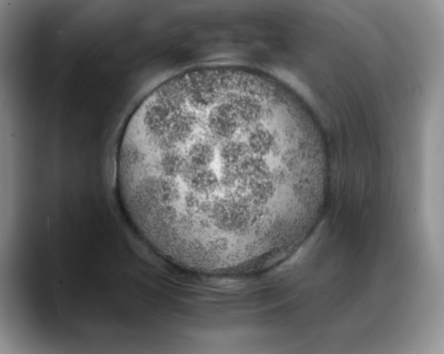 X0000088441413200706121500