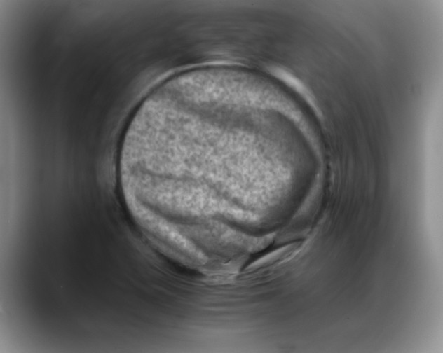 X0000088441415200706121500