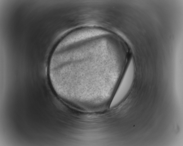 X0000088441416200706121500