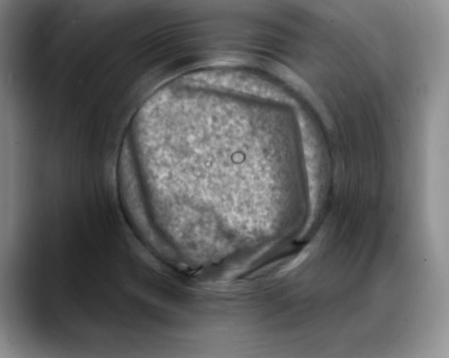X0000088441417200706121500