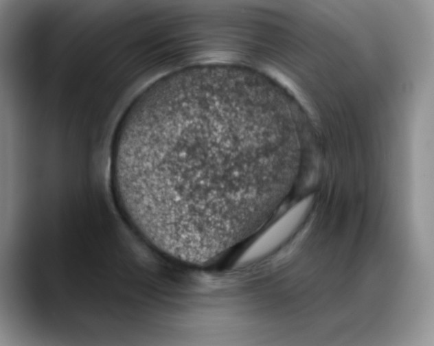 X0000088441418200706121500