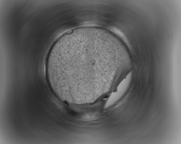 X0000088441419200706121500