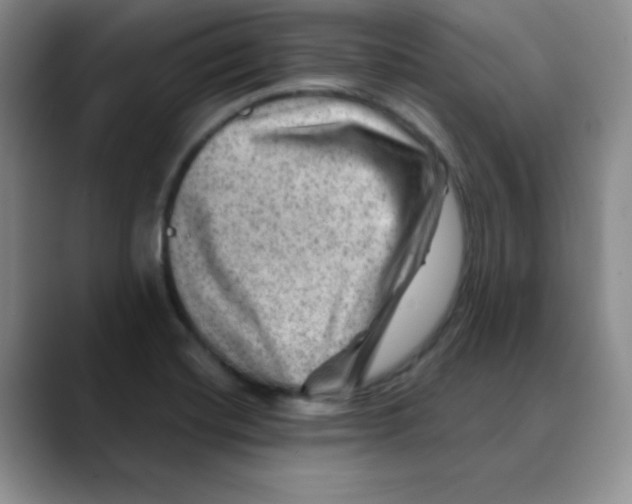 X0000088441420200706121500