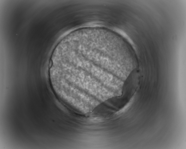 X0000088441421200706121500