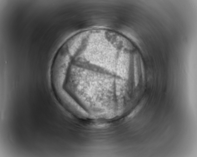 X0000088441423200706121500