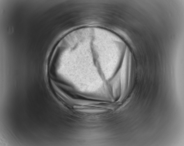X0000088441424200706121500
