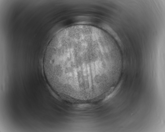 X0000088441425200706121500