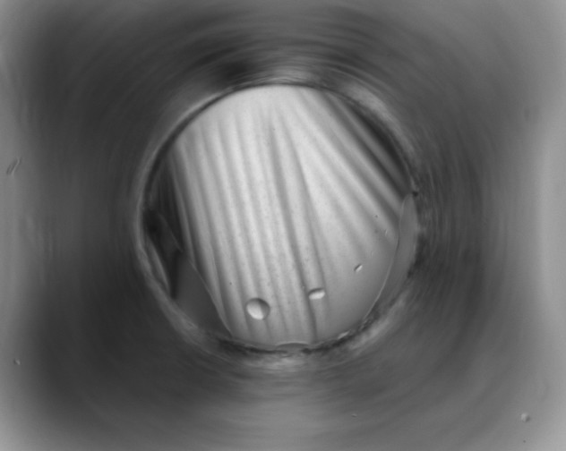 X0000088441426200706121500