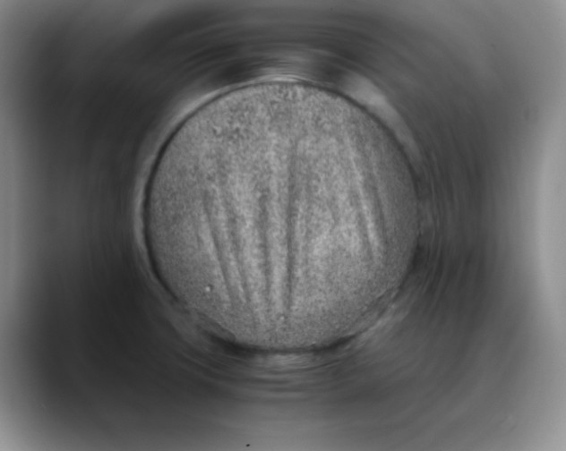 X0000088441427200706121500