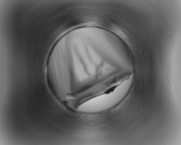 X0000088441428200706121500