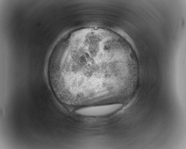 X0000088441429200706121500