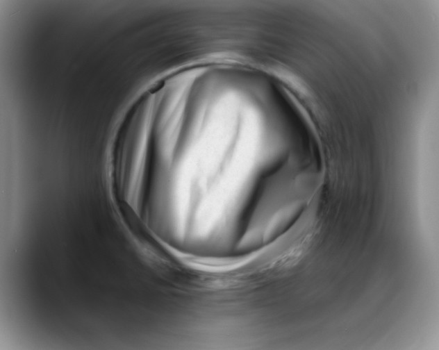 X0000088441430200706121501