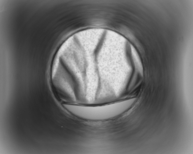 X0000088441432200706121501