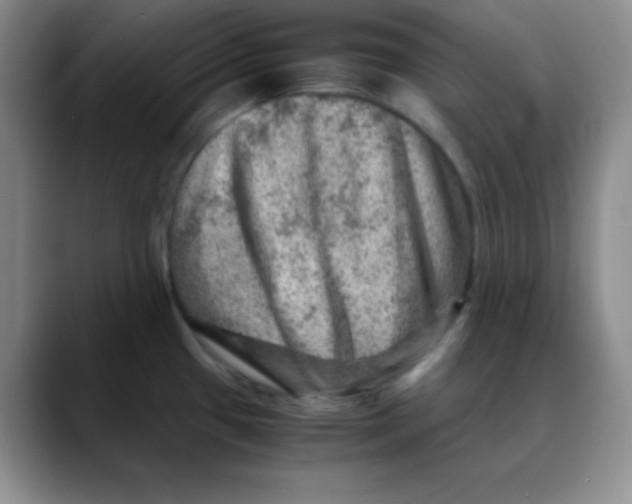 X0000088441433200706121501