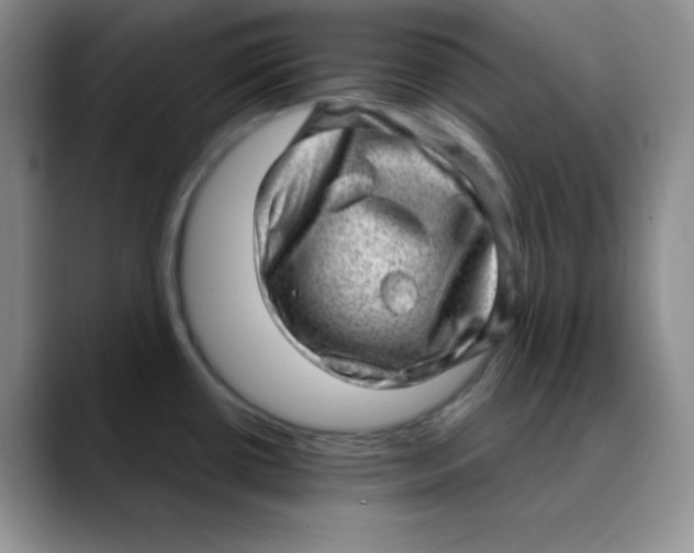 X0000088441434200706121501