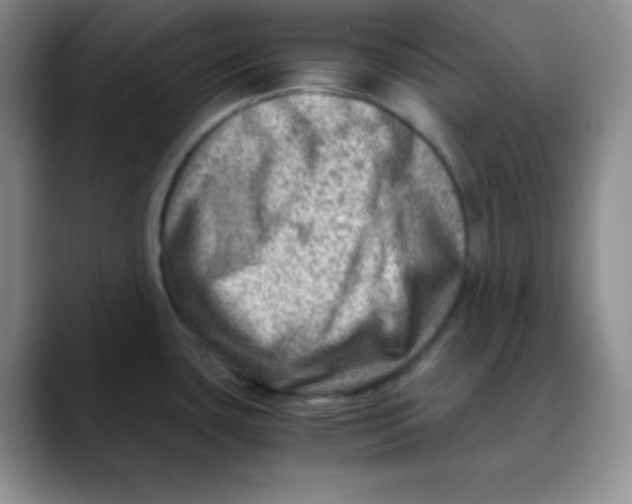 X0000088441435200706121501