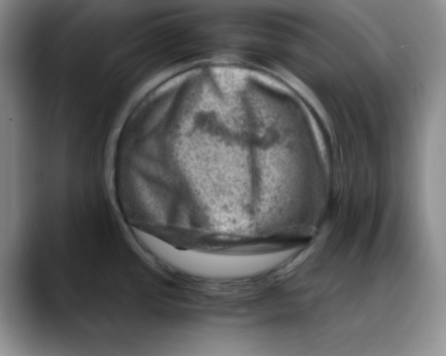 X0000088441437200706121501
