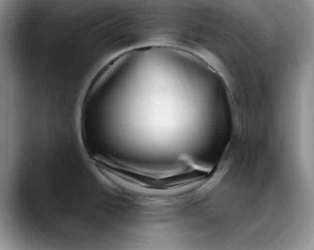 X0000088441438200706121501