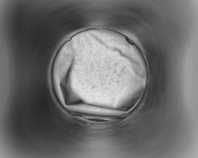 X0000088441440200706121501
