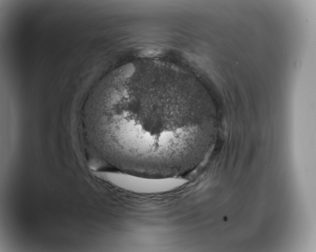 X0000088441441200706121500