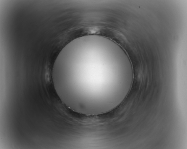 X0000088441442200706121500